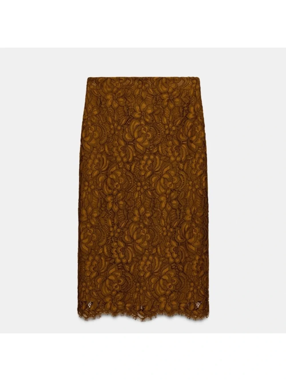 Zara Brown Lace Skirt Set